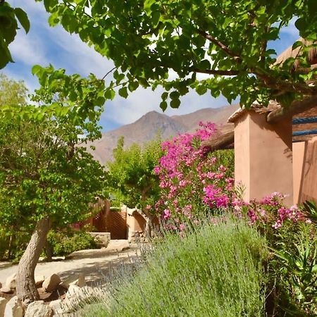 Refugio Misterios Del Elqui Panzió Pisco Elqui Kültér fotó