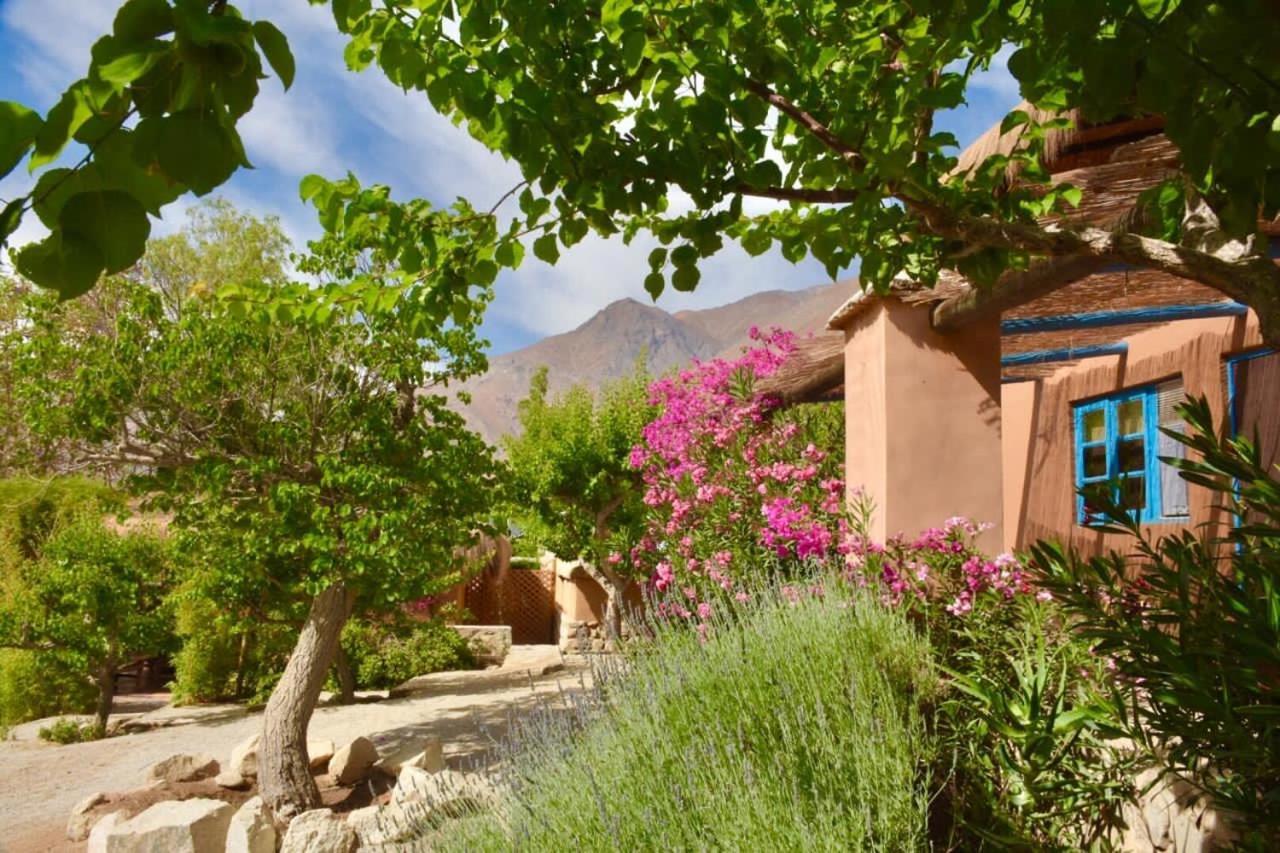 Refugio Misterios Del Elqui Panzió Pisco Elqui Kültér fotó