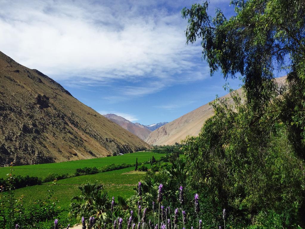 Refugio Misterios Del Elqui Panzió Pisco Elqui Kültér fotó