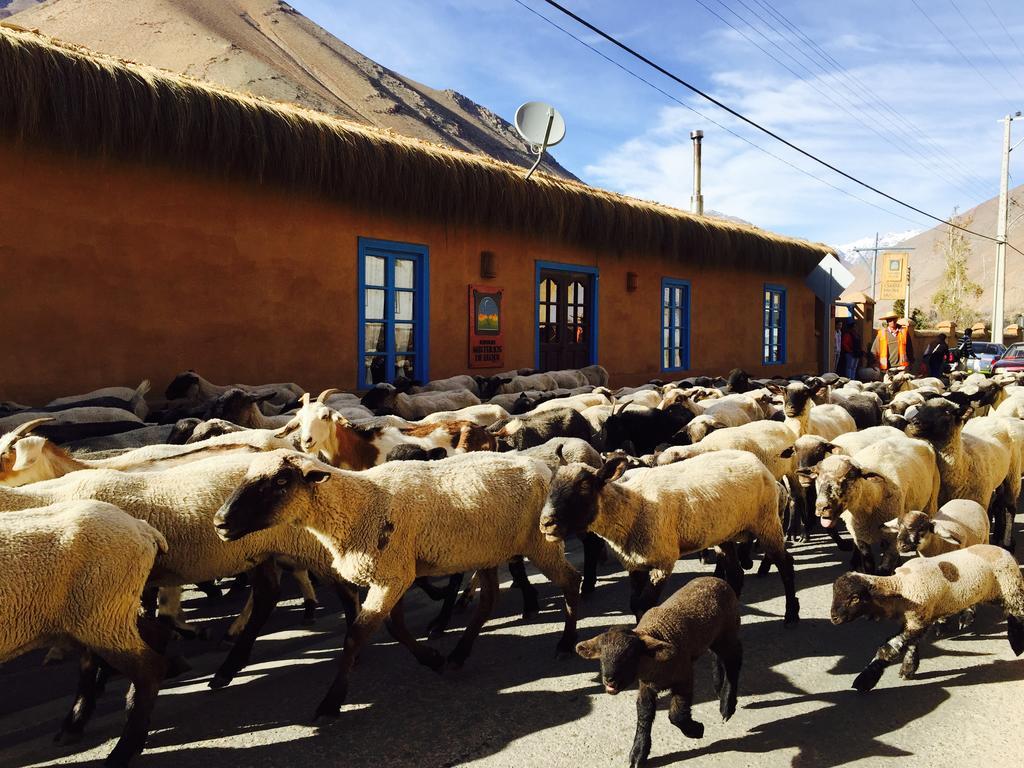 Refugio Misterios Del Elqui Panzió Pisco Elqui Kültér fotó