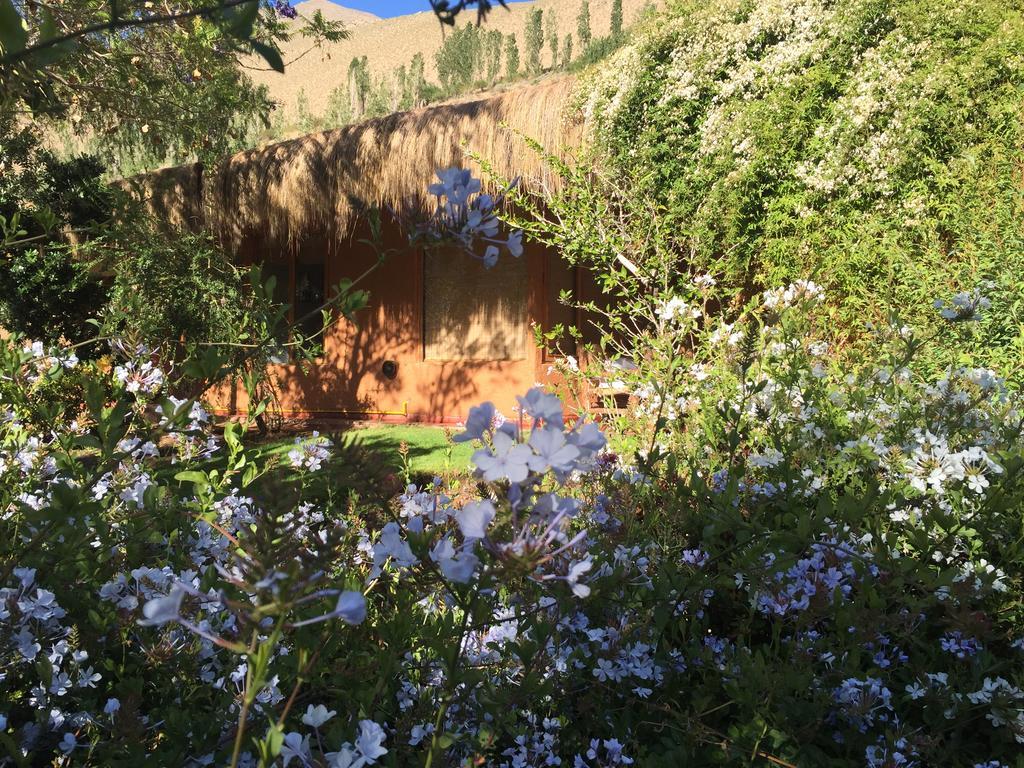Refugio Misterios Del Elqui Panzió Pisco Elqui Kültér fotó
