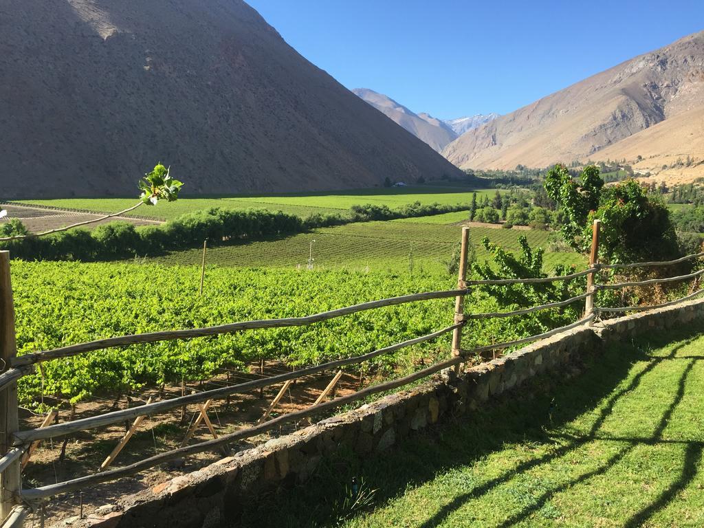 Refugio Misterios Del Elqui Panzió Pisco Elqui Kültér fotó