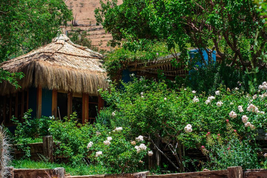 Refugio Misterios Del Elqui Panzió Pisco Elqui Kültér fotó