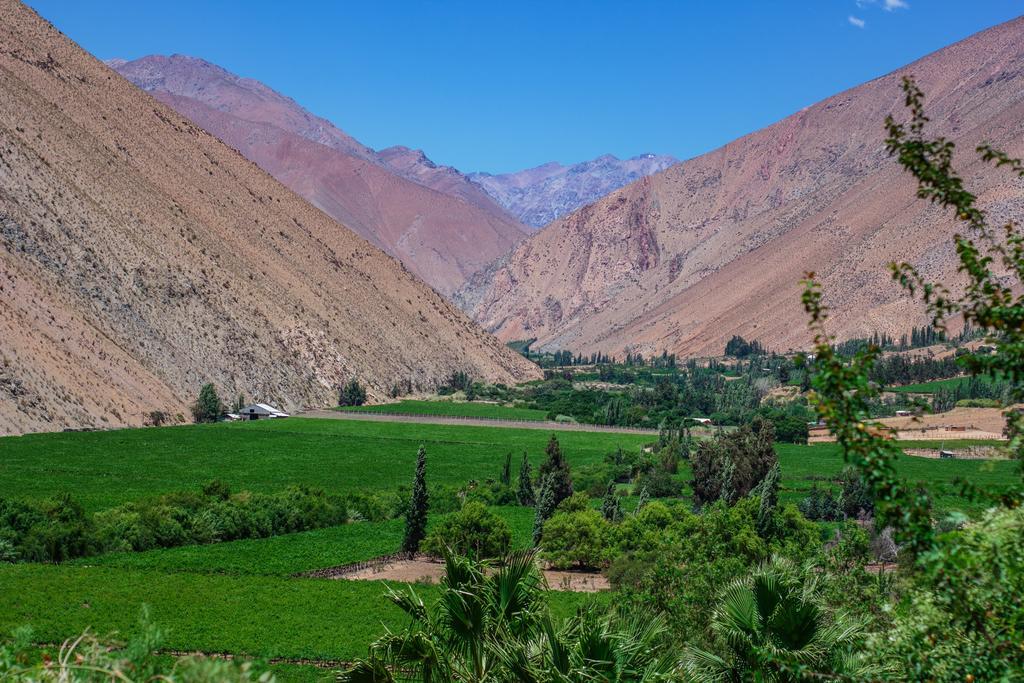 Refugio Misterios Del Elqui Panzió Pisco Elqui Kültér fotó